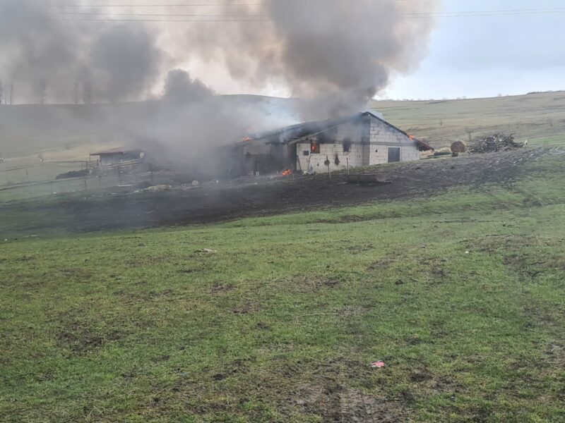Sălaj | Incendiu la un săivan de oi