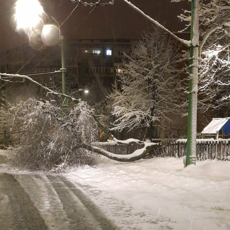 Brașovul sub zăpadă. Copaci prăbușiți, transport în comun afectat