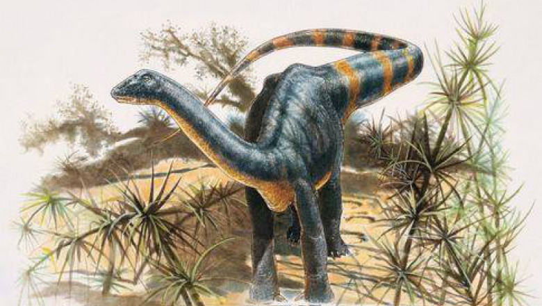 Sit al dinozaurilor din Transilvania redescoperit de un paleontolog maghiar