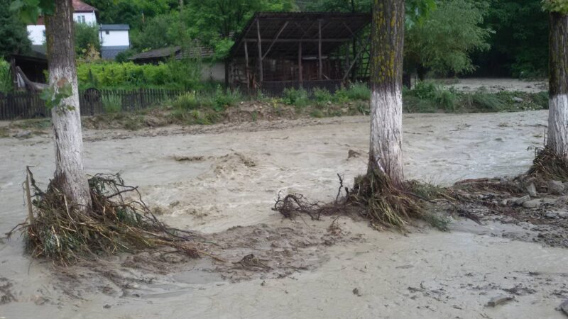 Satu Mare | COD PORTOCALIU de viituri pe Crasna