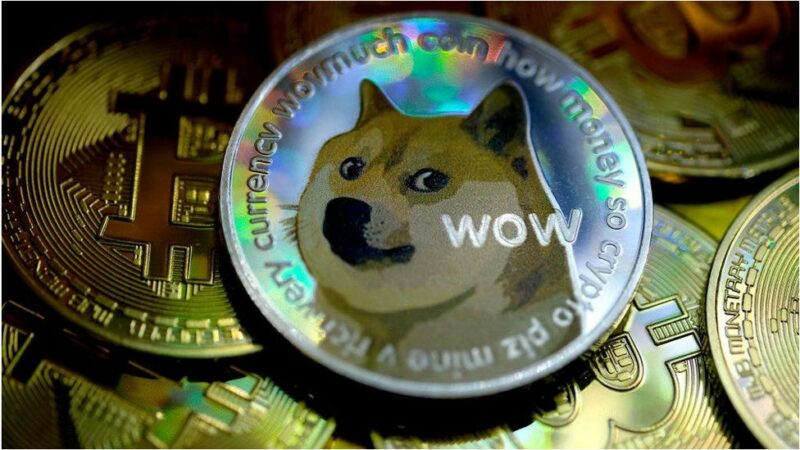 Such WOW! Dogecoin face valuri în piața criptomonedelor