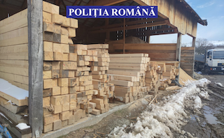 FOTO | Codrule, măria ta! Lemn confiscat în urma unor controale silvice
