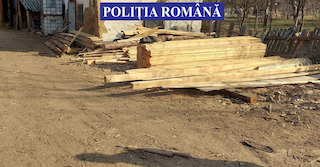 FOTO | Unde ne dispar pădurile? Trei firme de pe Valea Bârgăului luate la control