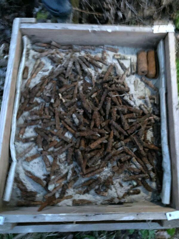 FOTO | Muncile de primăvară. Peste 200 de cartușe descoperite de un maramureșean