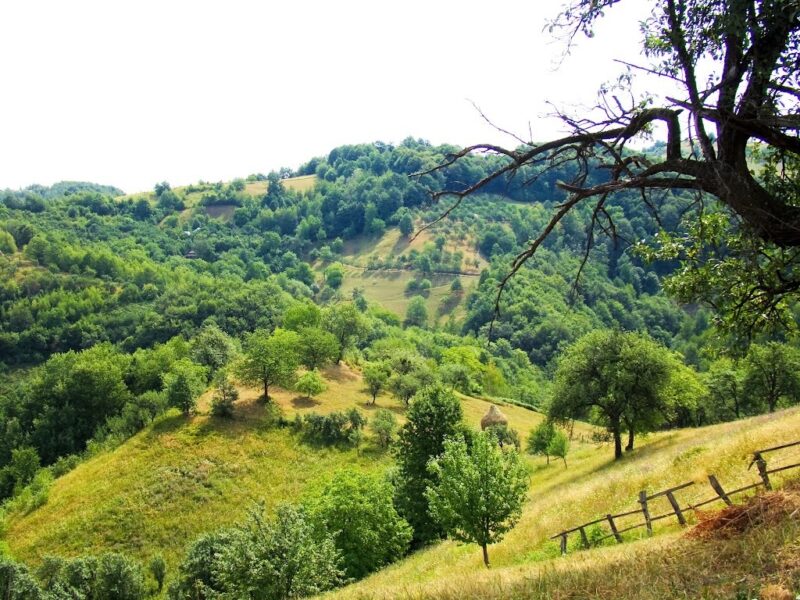 Maramureș | Oaza de liniște „Între Râuri”