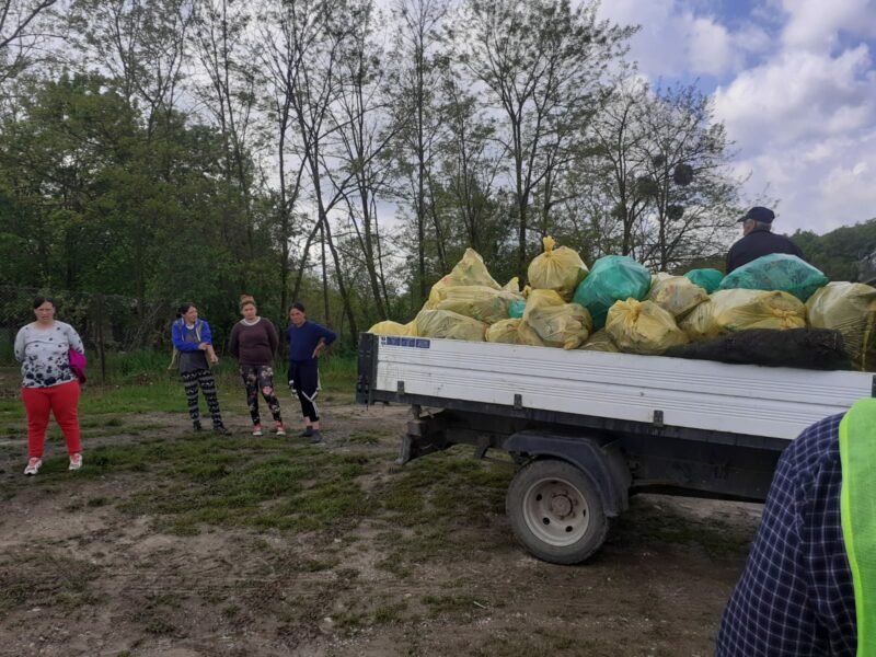 SATU MARE FOTO | Asistații social mână-n mână cu autoritățile locale la curățenie