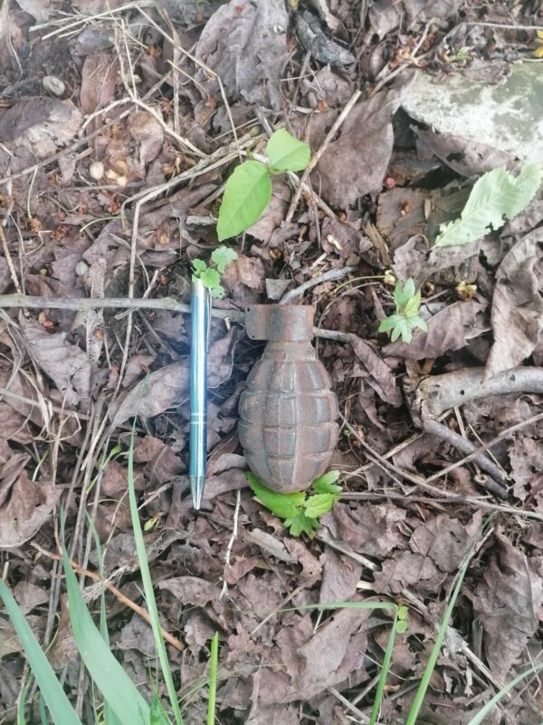 FOTO Mureș | Grenadă de mână și muniție. A intervenit echipa pirotehnică