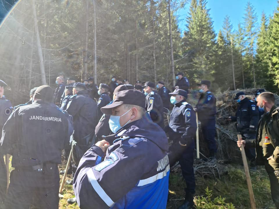 FOTO | Puzderie de jandarmi. Au plantat alături de Ocolul Silvic Turda
