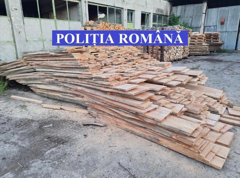 Cluj | Bihorean amendat pentru delicte silvice FOTO