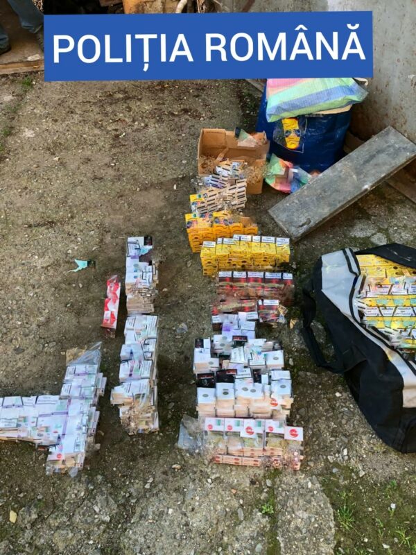 FOTO | Tutunul dăunează grav… contrabandiștilor