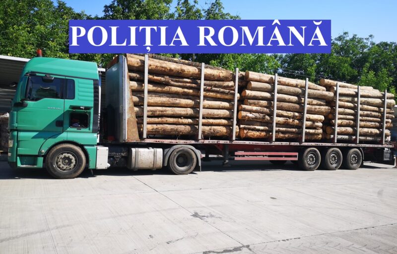 FOTO | Lemnul românesc tot pleacă… ilegal