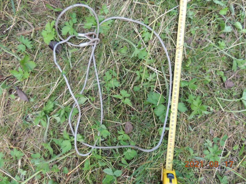 FOTO | Percheziții în Borșa, Maramureș. Ce au găsit polițiștii?