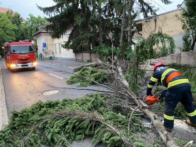 FOTO | Copacii puși la pământ de vijelii în Mureș