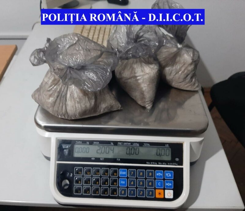 FOTO Bistrița | Au intrat mascații peste ei. S-au găsit droguri în valoare de 400 de mii de lei