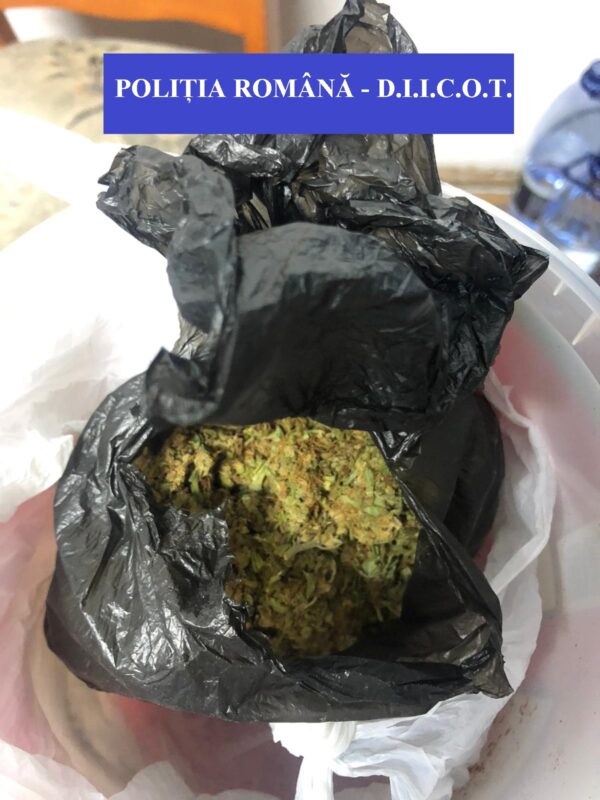 FOTO | Cum se transportă drogurile în Satu Mare? Un tânăr reținut pentru 24 de ore