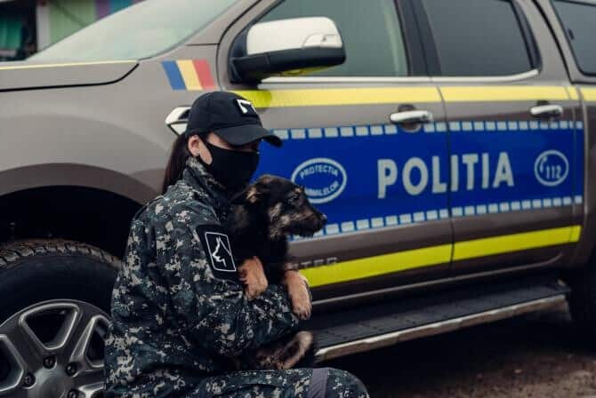 Ar fi trebuit să protejeze animalele. Percheziții la un cabinet veterinar din Bistrița