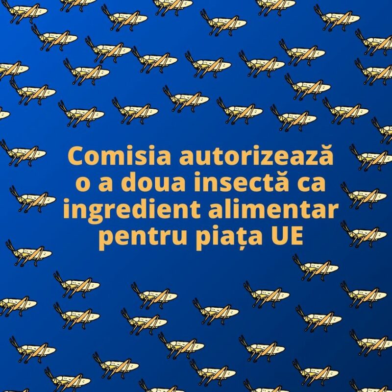 Lăcusta călătoare, a doua insectă autorizată de către Comisia Europeană ca și ingredient alimentar