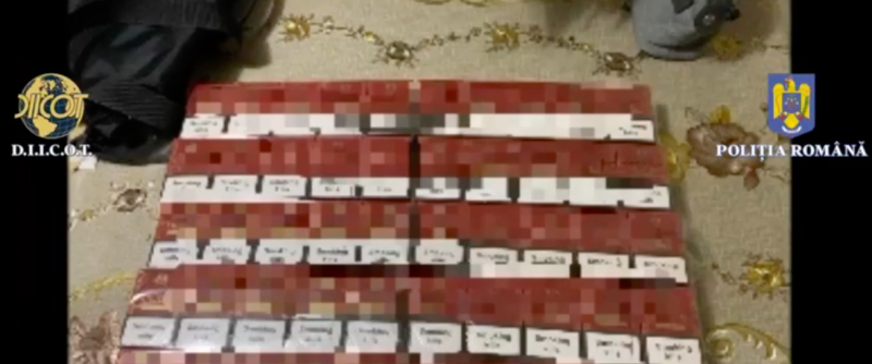 VIDEO | Percheziții în mai multe județe. Contrabandă, trafic de migranți, droguri de mare risc și altele