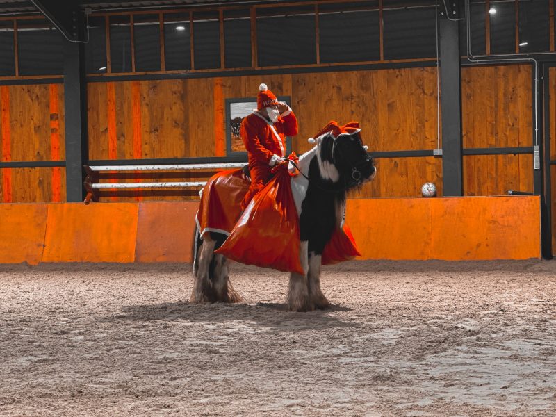 FOTO | Tica l-a adus în siguranță pe Moș Crăciun la Toniland. Au fost întâmpinați cu zâmbete până la urechi