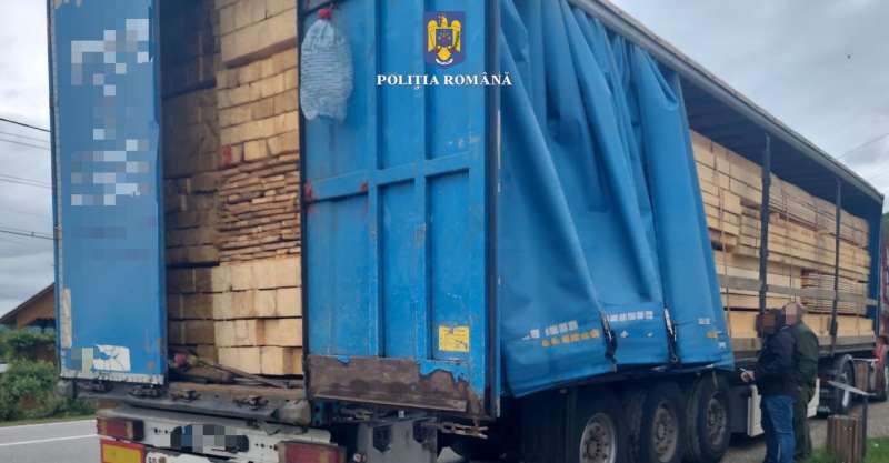 Confiscare masivă de cherestea în urma acțiunilor anti-delict silvic: Peste 200 metri cubi evaluate la 185.000 de lei