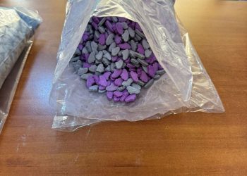 FOTO/VIDEO | Din Olanda în România. Trafic internațional de droguri