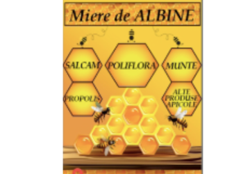 Miere de Albine naturală – Direct de la sursă