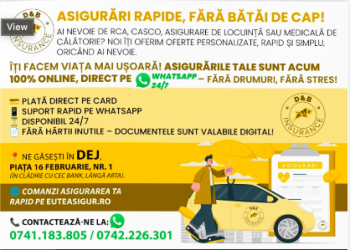 D&B Insurance – Asigurări rapide, fără bătăi de cap