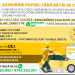 D&B Insurance – Asigurări rapide, fără bătăi de cap