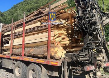 Percheziții în Băișoara într-un dosar de infracțiuni silvice: lemn confiscat și echipamente ridicate