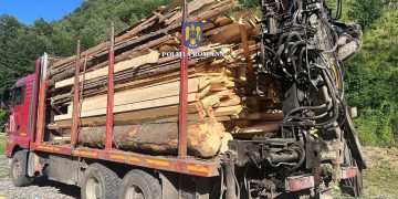 Percheziții în Băișoara într-un dosar de infracțiuni silvice: lemn confiscat și echipamente ridicate