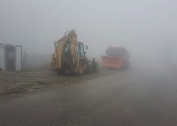 Primele acțiuni de combatere a poleiului, din acest sezon rece, în zona de munte a județului Cluj