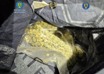 Droguri transportate cu lada frigorifică