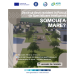 Șomcuta Mare