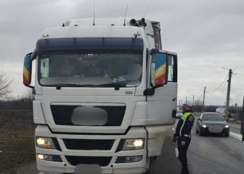 Truck & Bus