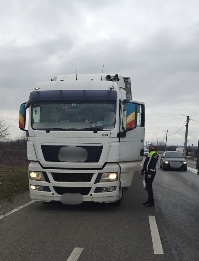 Truck & Bus