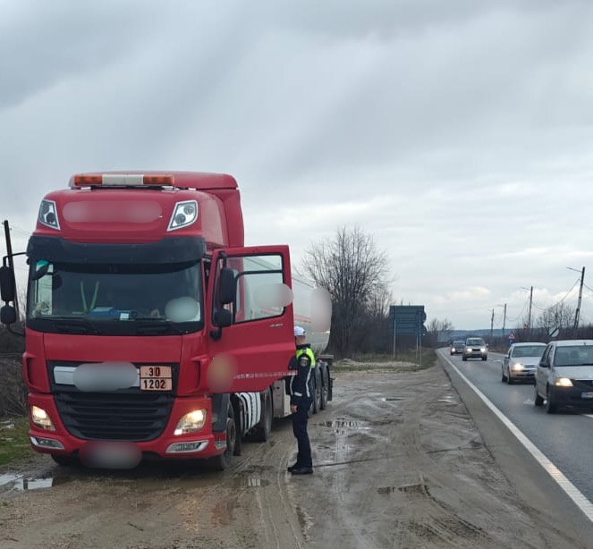 Truck & Bus