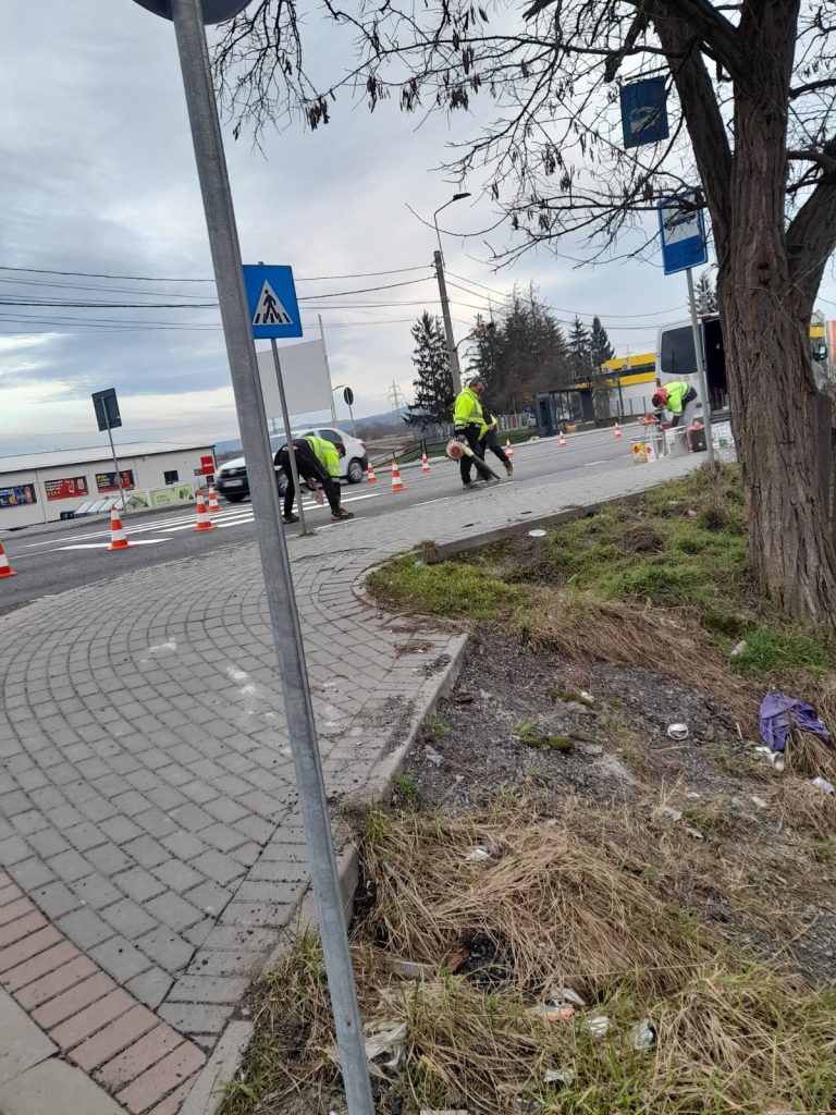 Trecerea pentru pietoni