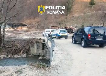 2 firme din domeniul silvic, suspectate de nereguli în exploatarea forestieră