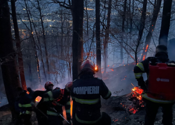 Incendiu de vegetație extins pe 2 hectare în Baia Mare. Zona este greu accesibilă
