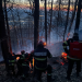 Incendiu de vegetație extins pe 2 hectare în Baia Mare. Zona este greu accesibilă