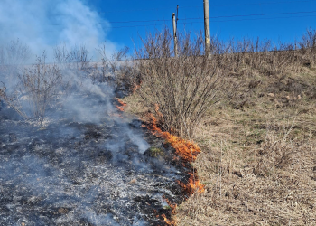 Mureș | Mersul trenurilor afectat de un incendiu de vegetație. Intervin pompierii din Sighișoara