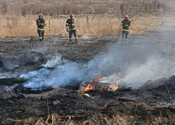 Incendiu de vegetație în Livezeni. Focul amenință fondul forestier și o cabană