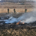 Incendiu de vegetație în Livezeni. Focul amenință fondul forestier și o cabană