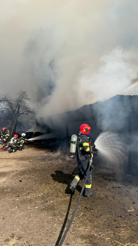 incendiile