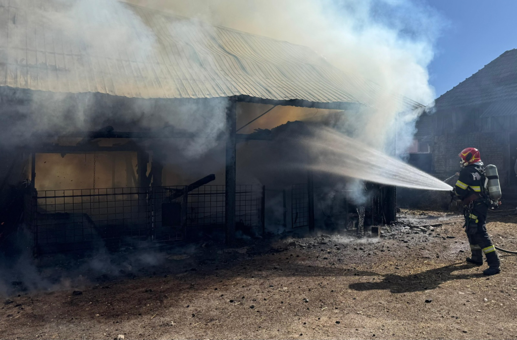 incendiile