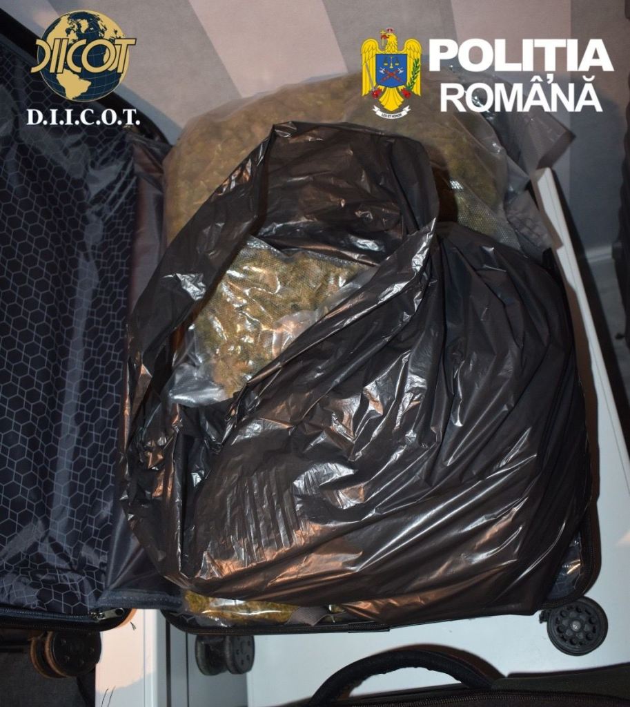 droguri