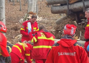 Sfârșit tragic. A murit lovit de un copac