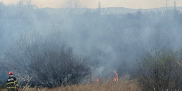 Bihor | Locuințe, cabane, păduri în pericol. 10 incendii de vegetație într-o singură zi