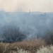 Bihor | Locuințe, cabane, păduri în pericol. 10 incendii de vegetație într-o singură zi