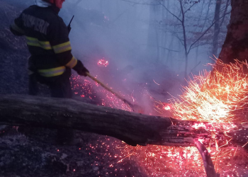 Pădure în pericol. Pompierii mureșeni intervin cu dificultate la 1 incendiu de vegetație